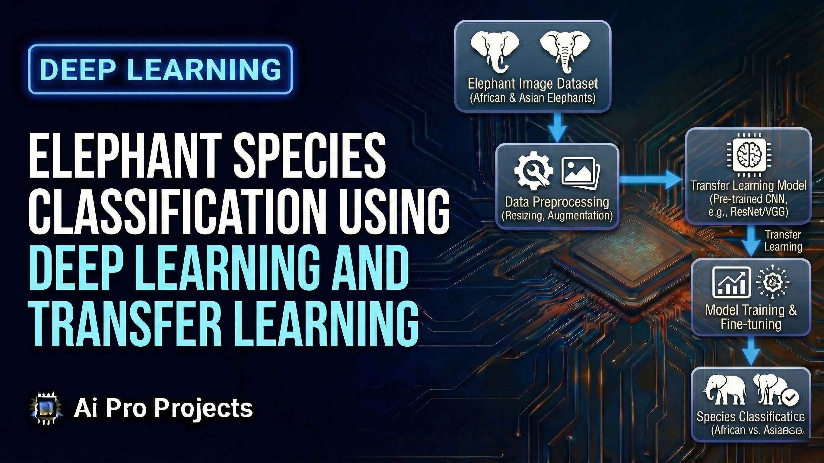 Elephant Species Classification using Deep Learning and Transfer Learning
